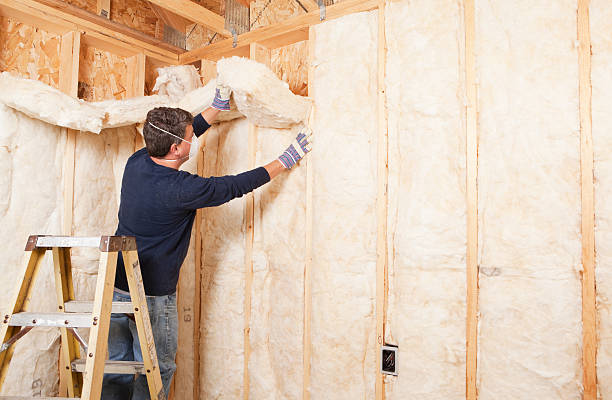 Best Weatherproofing Services  in Woodland Beach, MI